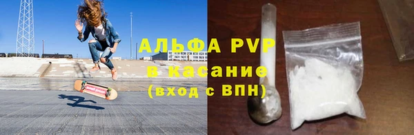 ПСИЛОЦИБИНОВЫЕ ГРИБЫ Вязники