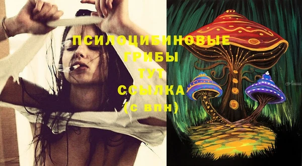круглые Вяземский