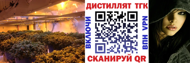 ТГК вейп  Элиста 