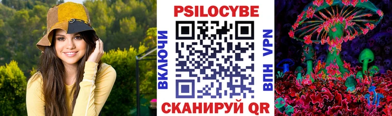 как найти   Элиста  MEGA зеркало  Галлюциногенные грибы Psilocybine cubensis 