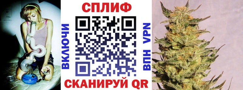 Бошки Шишки OG Kush купить Элиста
